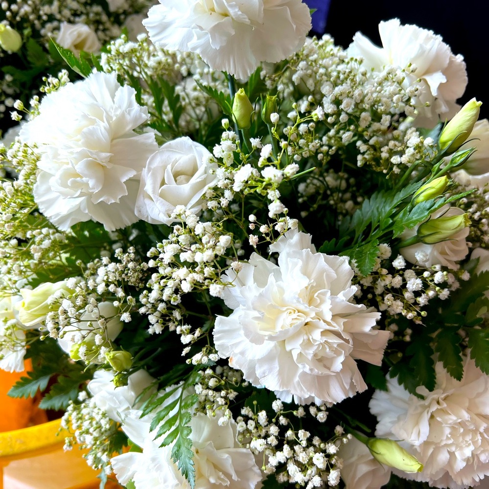 Meet your Posher, Anna